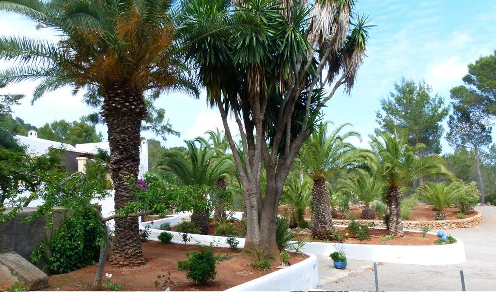 Hacienda Encanto Del Rio Playa DPlaya Des Figueral Eksteriør bilde
